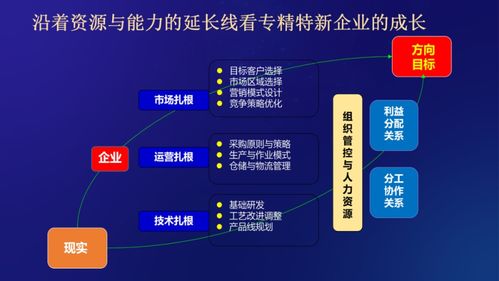 徐朝华 中小企业怎么破解融资难 融资贵 融资慢的问题